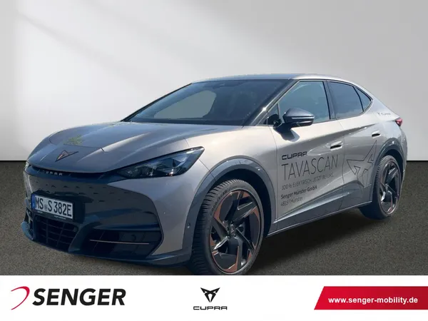 Tavascan 250 kW 4Drive VZ Styling-Paket Kamera 