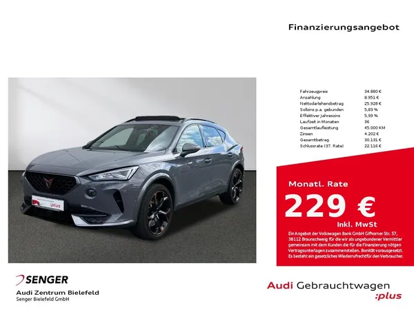 Formentor VZ 2.0TSI 4x4 CarPlay LED Panorama AHK
